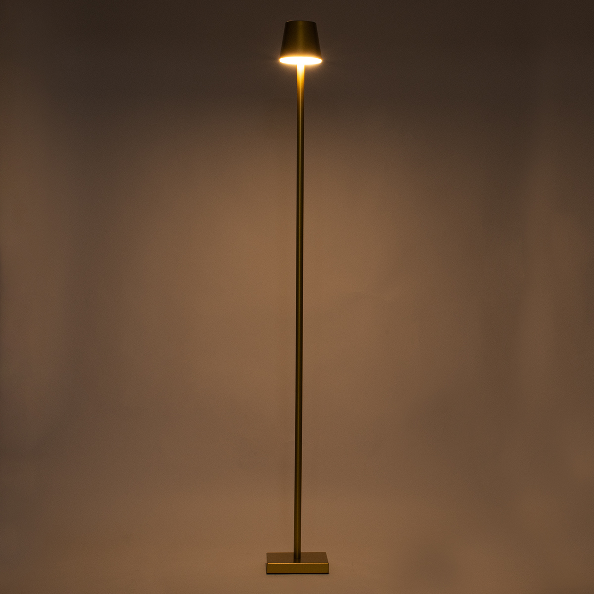 60479_12