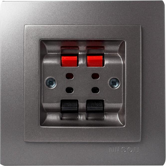 Ανθρακί πρίζα ηχείων