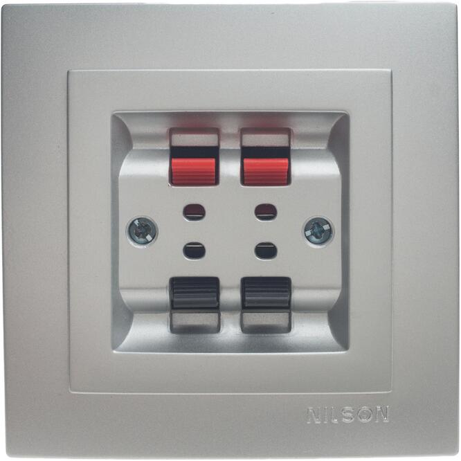 Ασημί πρίζα ηχείων