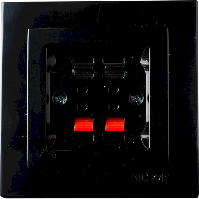 Μαύρη πρίζα ηχείων