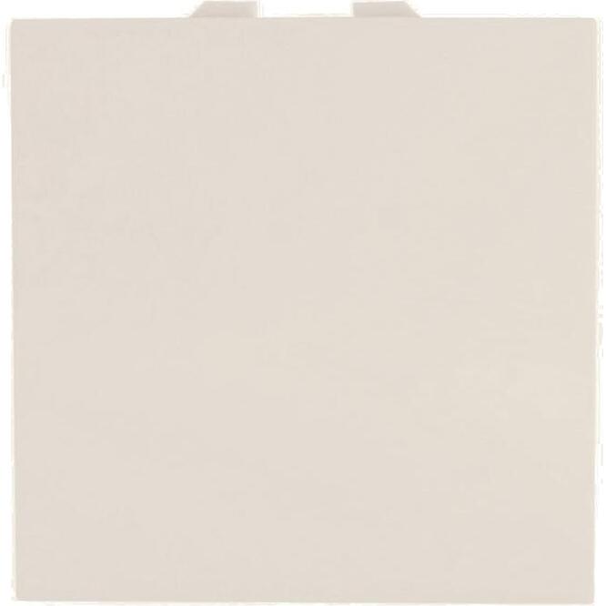 Μεσαίος Α-Ρ 2 θέσεων Ιβουάρ 10ΑΧ 250V